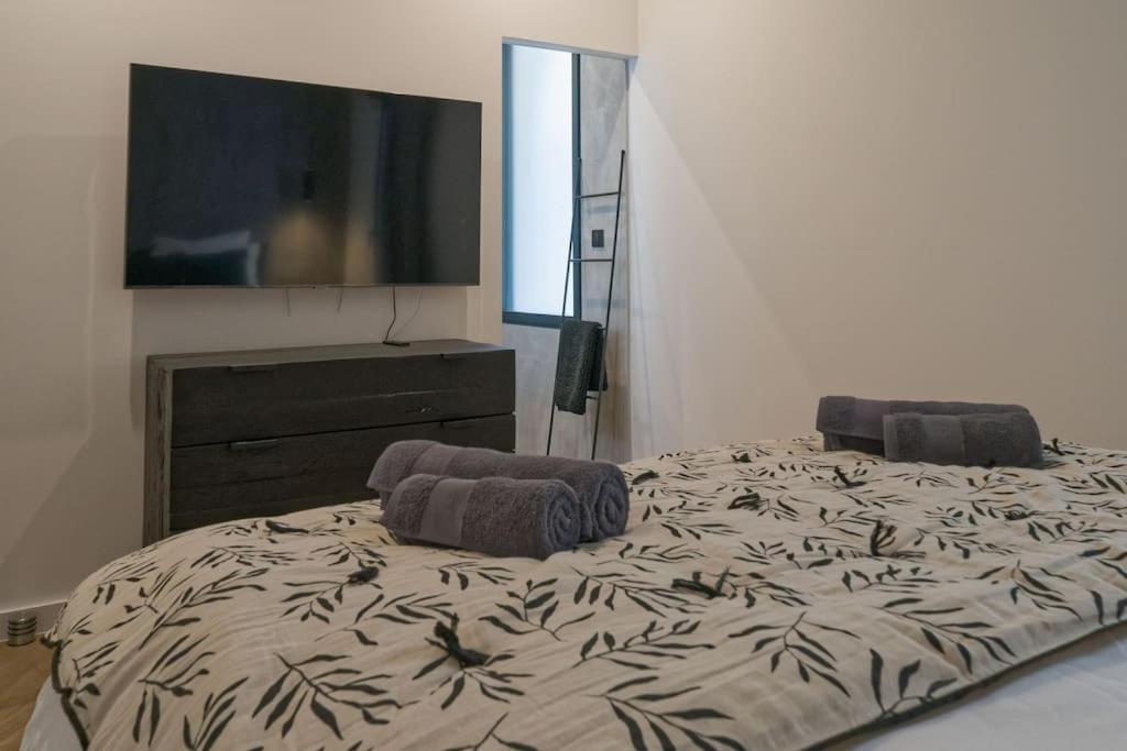 Appartement D'Exception En Centre Ville Sur Quai 세테 외부 사진